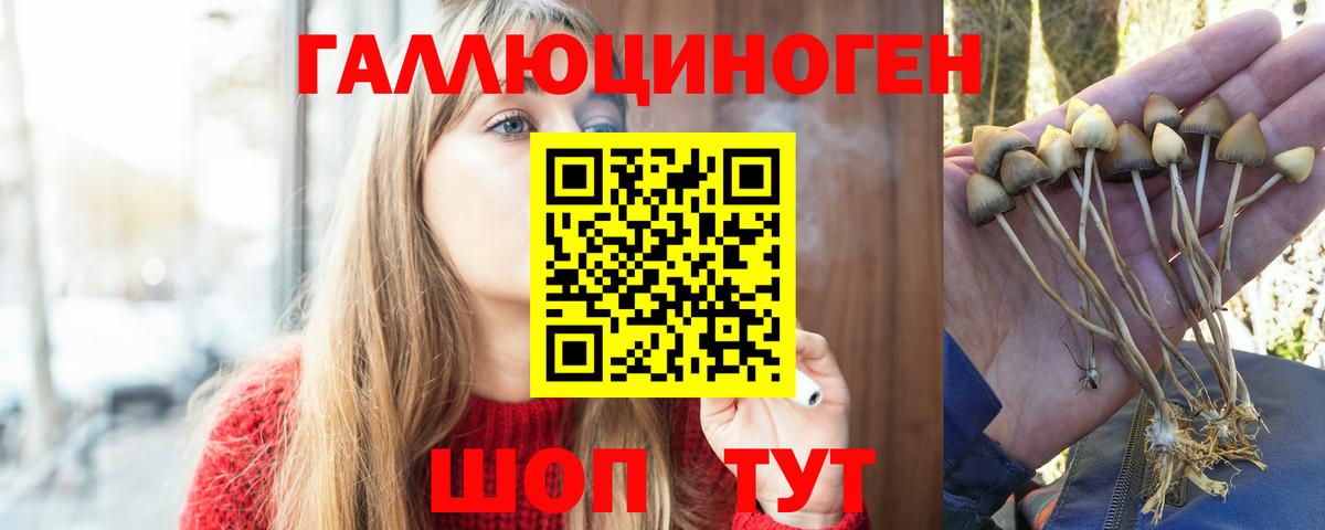 Псилоцибиновые грибы Cubensis  Галлюциногенные грибы GOLDEN TEACHER  Саров  Вход с VPN 